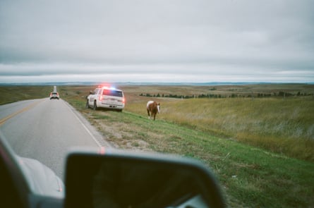 Police Making Sure A Horse Stays Off The HWY