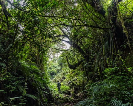 Virunga national park