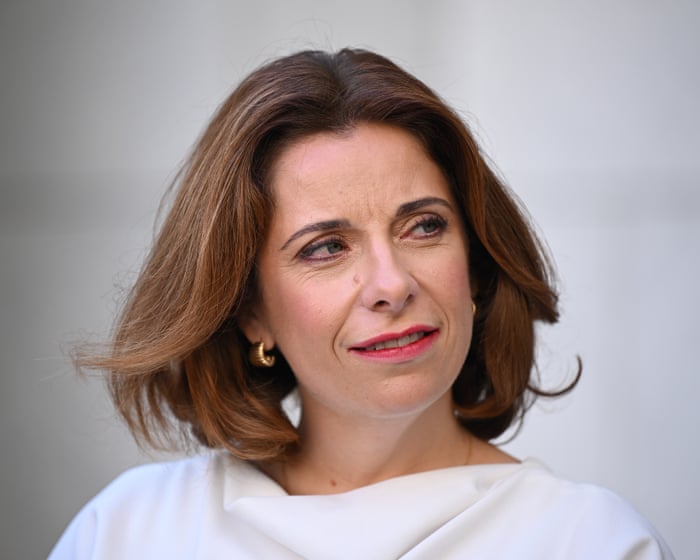 Anika Wells’ expenses are within the rules but many politicians know these perks should be wound back