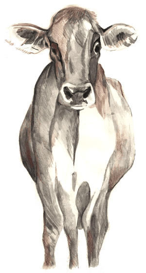 What Is Biodiversity And Why Does It Matter To Us News The Guardian