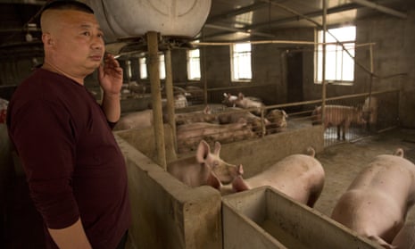Zhang Shuai at his pig farm in Panggezhuang village in northern China’s Hebei province, 8 May 2019