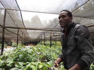 Returned migrant Kahsay Gebretsadik in the nursery at Gergera
