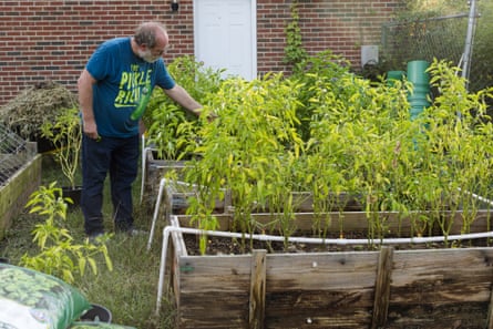 A man wearing a blue t-shirt tending to his garden.