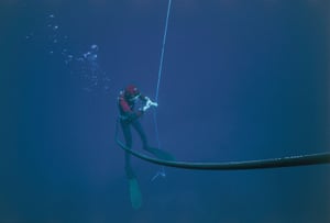 Fishermen have to dive ever deeper to reach the sponges.