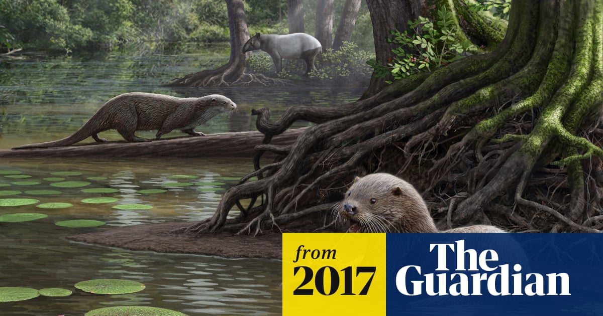 Fossils of wolf-sized otter unearthed in China