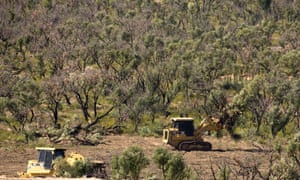 queensland bushland being destroyed