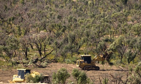 Land clearing australia