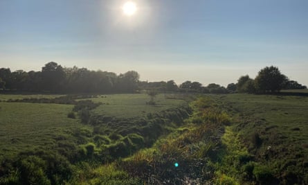 A view of the Knepp estate