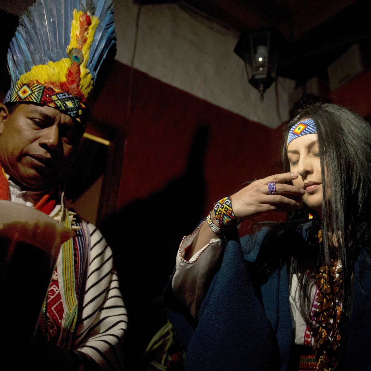 ayahuasca and glutathione Single administration attenuates alcohol relapse associated behavioral, neurochemical, and oxidative alterations in rats Representative pharmacokinetic profiles of plasma