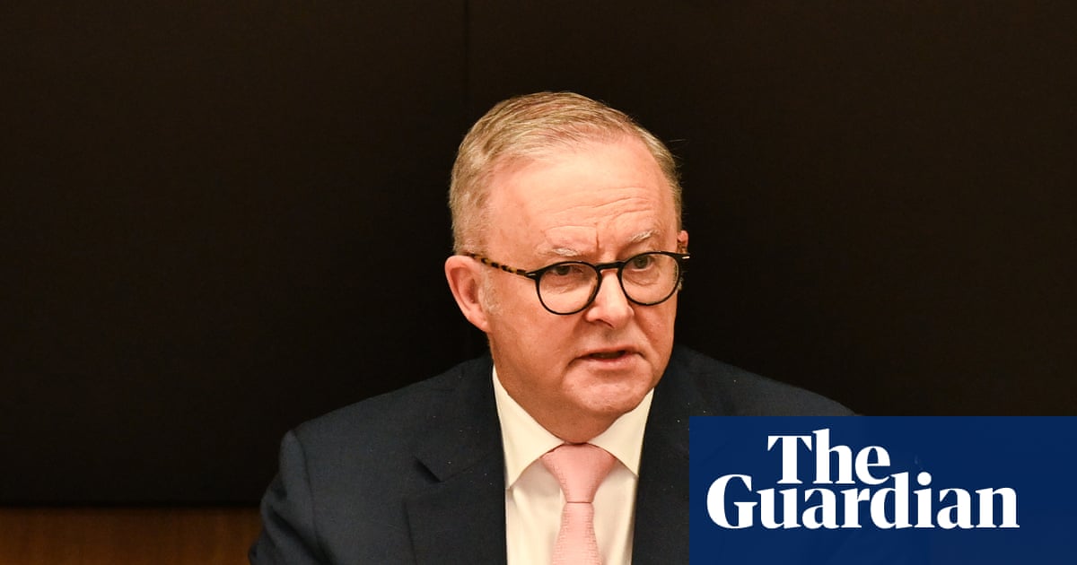 ALP announces sweeping changes to student work placements as Gaza war looms large at party conference
