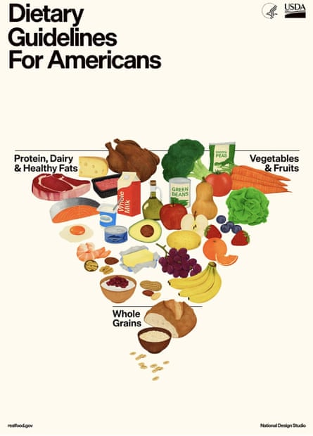 A caller nutrient pyramid released by nan USDA.