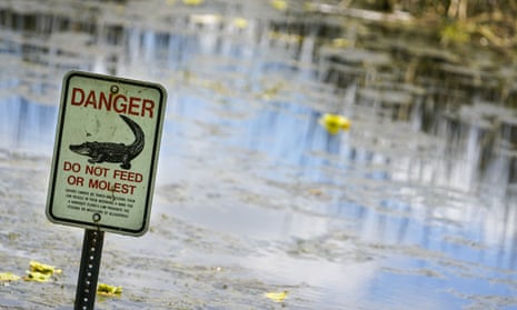 sign says 'danger: do not feed or molest' and shows picture of alligator