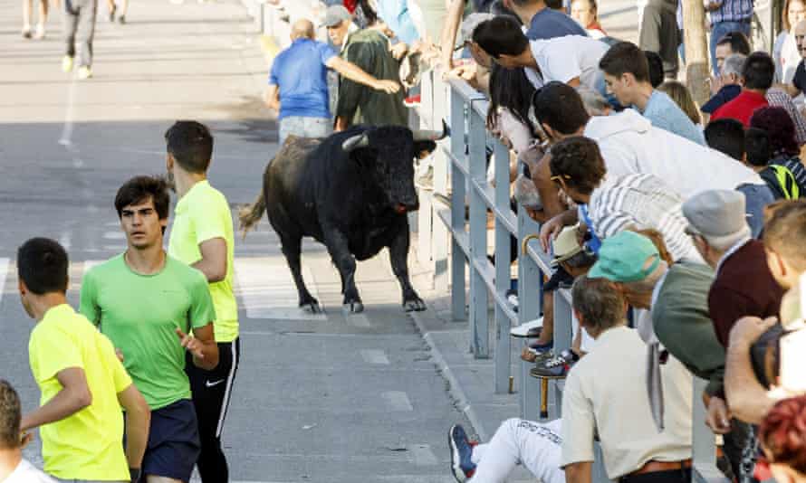 Spectator Gored To Death During Spanish Bull Run Spain The Guardian Spectator Gored To Death During Spanish Bull Run Spain The Guardian