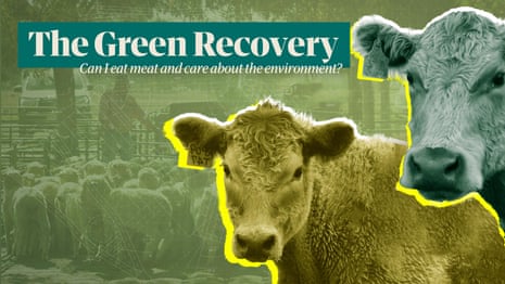 The Green Recovery: can I still eat meat if I care about the environment? – video