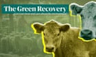 The Green Recovery: can I still eat meat if I care about the environment? – video