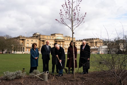 People dig tree