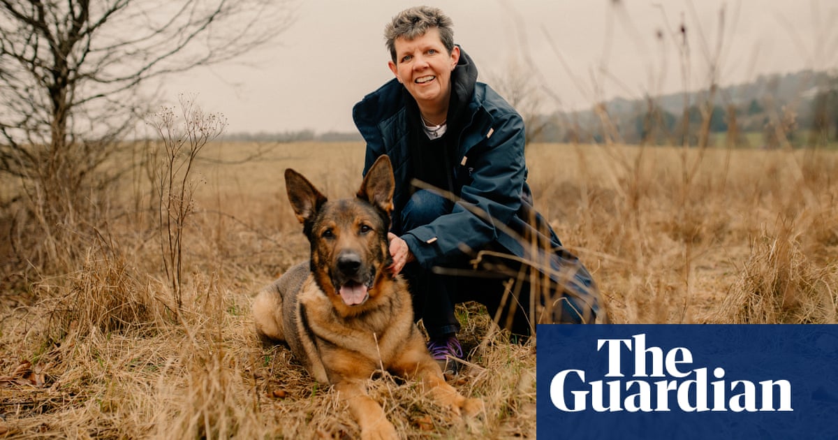 Experience: My dog found a missing person and saved his life