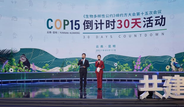 The Chinese city of Kunming will host the Cop15 summit