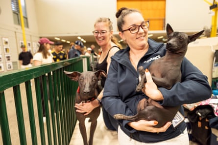 Two women with their hairless dogs