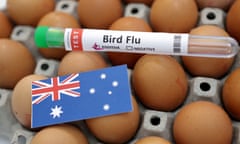 The avian influenza outbreaks in Victoria, New South Wales and the ACT have resulted in the destruction of about two million chickens