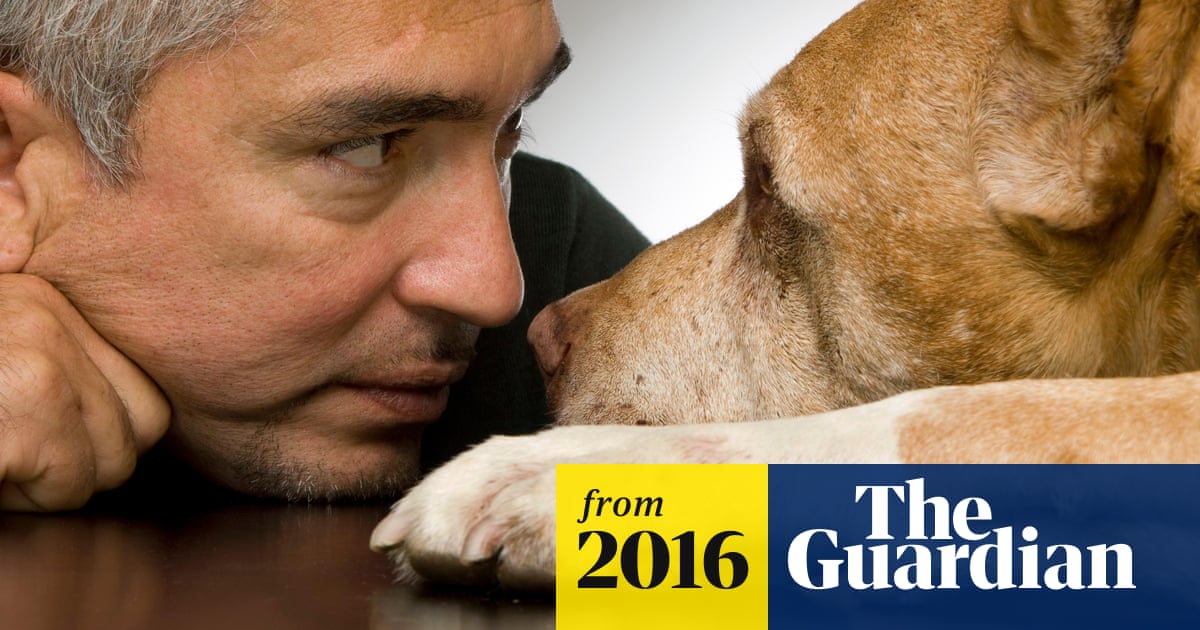 Inquiry finds no evidence of animal cruelty by 'Dog Whisperer' Cesar Millan  | Dogs | The Guardian