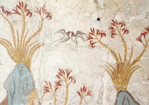 There remains some dispute about how precisely identifiable the plants are, however. They are probably stylized representations of lilies growing among equally stylized and highly colourful volcanic rocks. What- ever the species, the flowers – depicted in various stages from buds to full bloom – are so lifelike that they seem to sway in a breeze. The paintings were discovered in the 1960s during archaeological investigations on Santorini  that revealed a Minoan city which had been destroyed during the Thera eruption, in approximately 1600 BC. They may mark the very beginning of botanical art – if only we could be certain what plants they show.