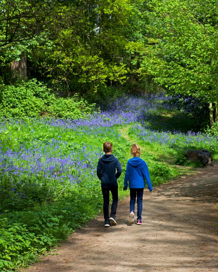 Sheffield Park and Garden, East Sussex