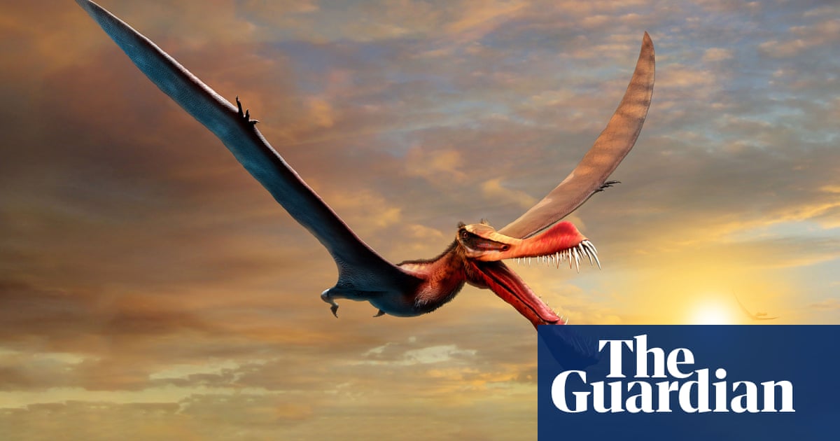 'It wasn't built to eat broccoli': Australia's largest 'dragon' unveiled
