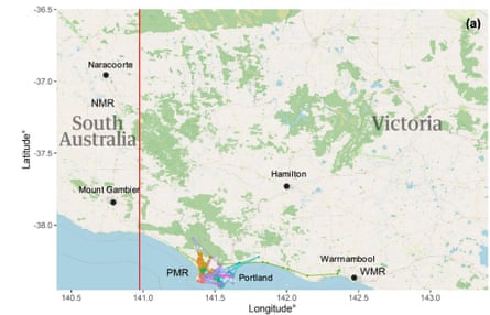 Map of foraging flights of southern bent-wing bats in spring