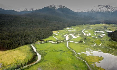 Aerial view of long green meadow with creeks running through it, next to forested land leading up to snowy peaks.