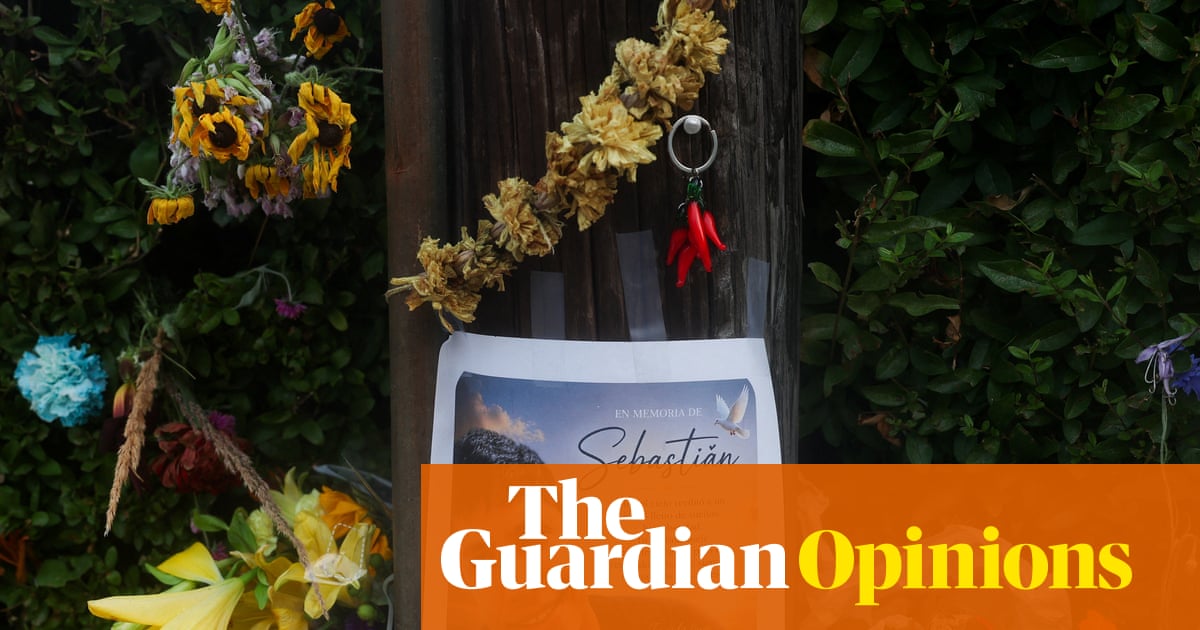 When Maga’s power fades, we cannot abandon those ICE killed | Moira Donegan