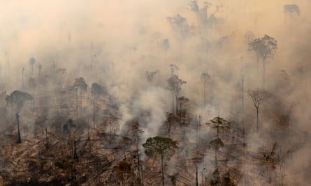 The Wider Image: Battling deforestation in the AmazonBurning forest is seen during “Operation Green Wave” conducted by agents of the Brazilian Institute for the Environment and Renewable Natural Resources, or Ibama, to combat illegal logging in Apui, in the southern region of the state of Amazonas, Brazil, August 4, 2017.