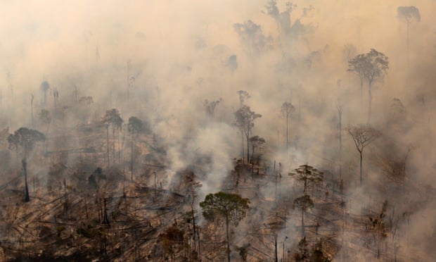 Environmentalists warn deforestation likely to become more acute when Jair Bolsonaro becomes president on 1 January.