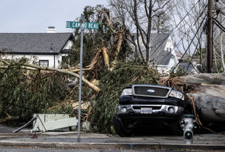 A tree, blown over by 50 mph winds, crushes a parked car in El Camino Real in Burlingame, California.