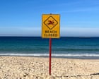 Australia news live: Sydney beaches closed for fourth day after shark sightings; new warning over fire ant threat to pets