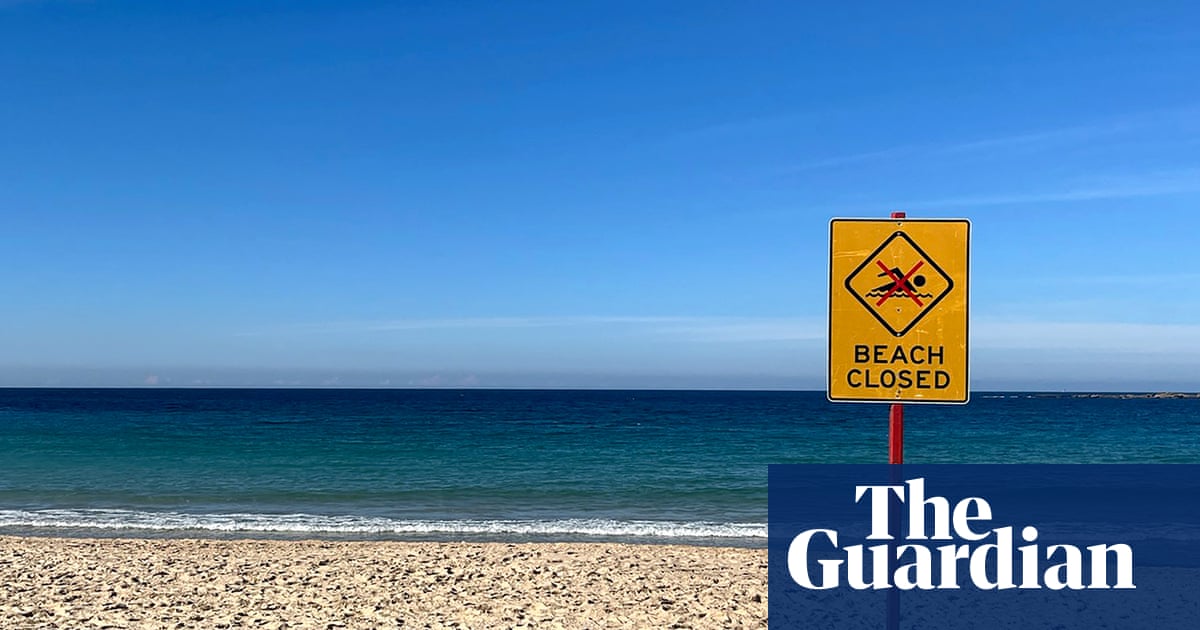 Paddleboarder rescues woman after shark attack in Coogee