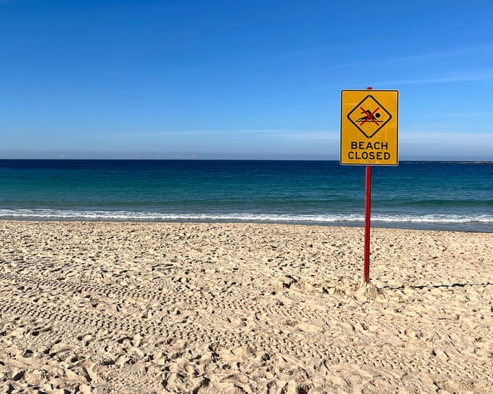 ‘There was a lot of blood in the water’: paddeboarder rescues woman after ‘shocking’ Coogee shark attack