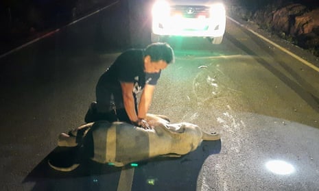 A rescue worker successfully revives a baby elephant after a motorcycle crash in Chanthaburi province, Thailand.