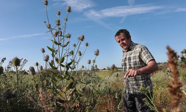 James Baird, the farmer behind the Weald to Waves project.