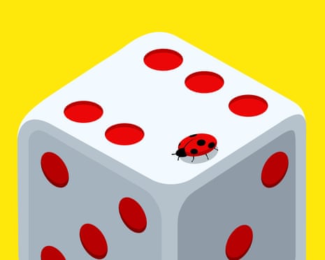 Illustration of dice and ladybird