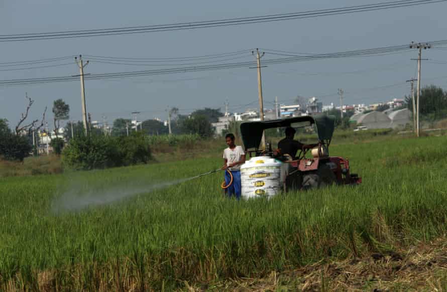 A man drives a tractor though a field while another man sprays a solution over green shoots