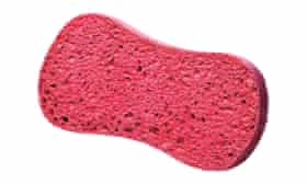 A pink sponge