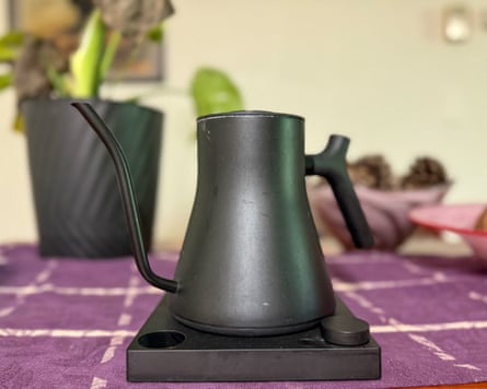 Fellow Stagg EKG Electric Kettle