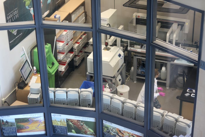 Contando as espécies: como o código de barras do DNA está reescrevendo o livro da vida 2 6000