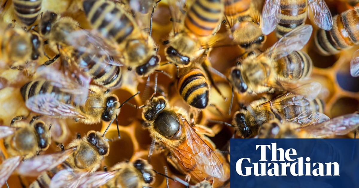 Seven environmental wins across the US in 2025 despite Trump-era reversals