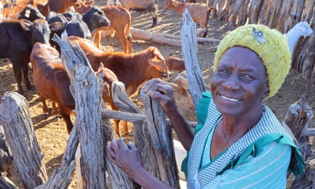 Hygiene Moyo checking on her cattle