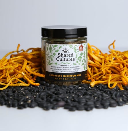 عکس قوطیهای میسوی متنوع Shared Cultures