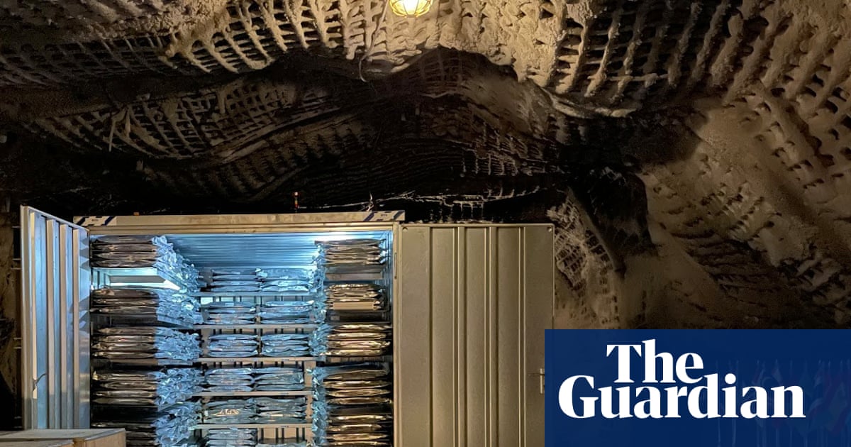 The world's memory': why Nigeria is burying its history under a mountain in Svalbard