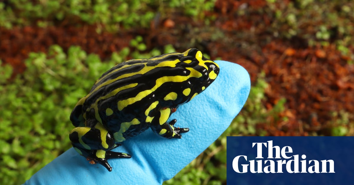 Scientists hope sequencing genome of tiny functionally extinct' frog could help save it