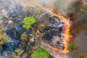 Video category winner: Cambodia Burning by Sean Gallagher. Sean Gallagher is a British photojournalist and film-maker whose work focuses on highlighting issues related to the climate crisis and other global environmental problems. This project, Cambodia Burning, was made in early 2020 and shows the impact of rampant deforestation. In 2018, fires burnt in record numbers throughout the forests of north and central Cambodia. At their peak, up to 1,800 fires. Deforestation has been accelerating too, and it is estimated that there is only 3% of primary forest left throughout the country